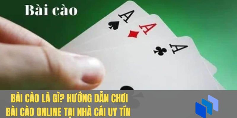 Tìm hiểu về bài cào