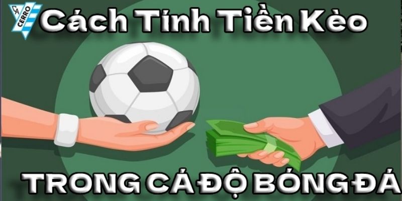 Hướng dẫn bạn cách tính tiền thắng cược dễ hiểu nhất 