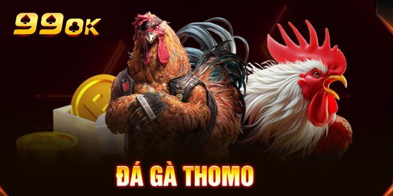 Chiến kê cựa sắt tại đá gà Thomo sẵn sàng ra đòn quyết liệt